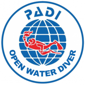 padi open water diver